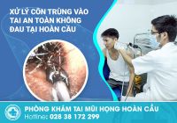 Côn trùng vào tai và hướng dẫn xử lý an toàn hiệu quả đúng cách